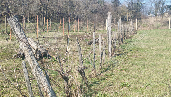 13. kép | Eladó Nyaraló, Becsehely (#180205)