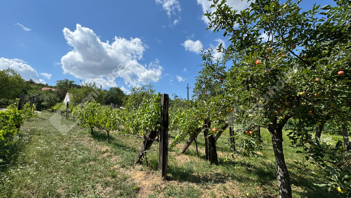 11. kép | Eladó Nyaraló, Celldömölk (#176354)