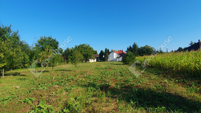 4. kép | Eladó Telek, Gyékényes (#183294)