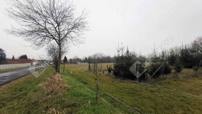 0. kép | Eladó Mezőgazdasági, Sármellék (#175513)