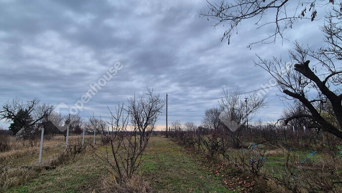 7. kép | Eladó Telek, Sülysáp (#178797)