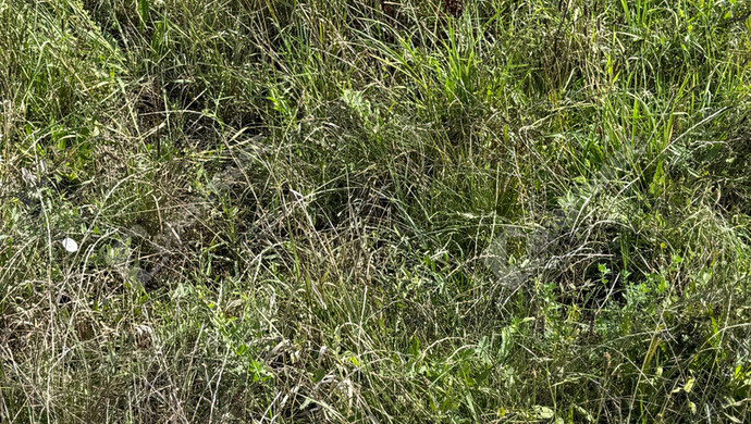 11. kép | Eladó Telek, Zalaegerszeg (#177033)