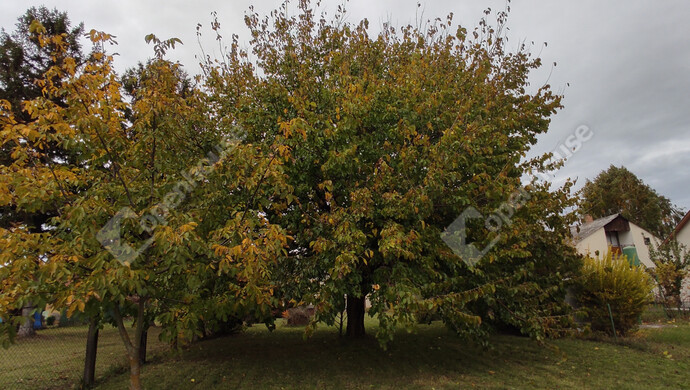 20. kép | Eladó Családi ház, Balatonfenyves (#178128)