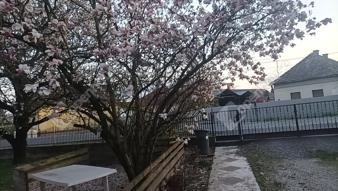 4. kép | Eladó Családi ház, Pacsa (#176680)