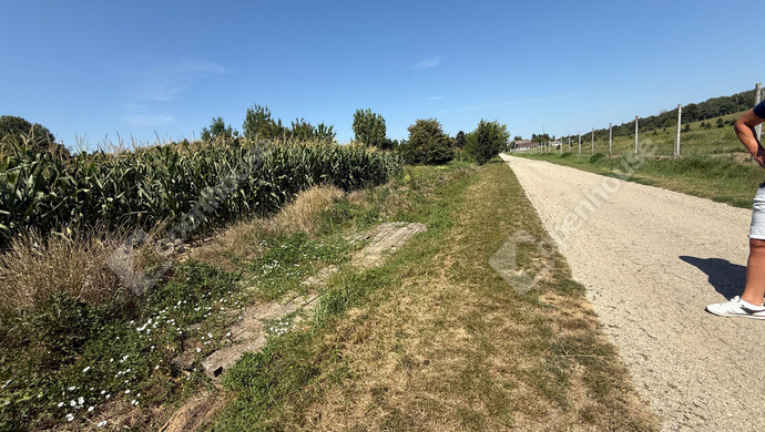 11. kép | Eladó Telek, Nagykutas (#176517)