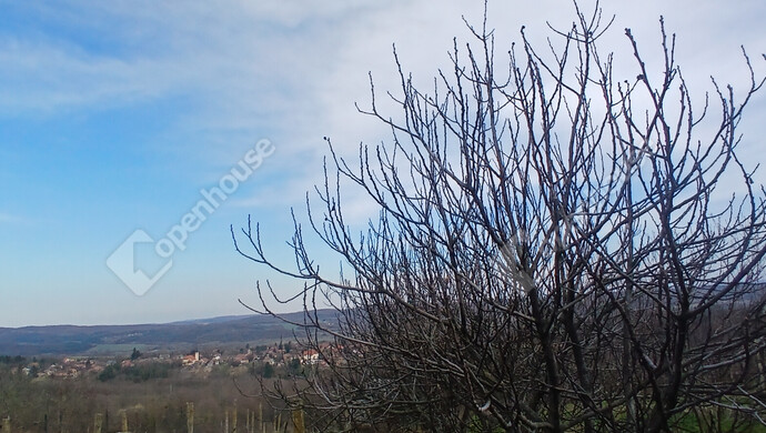 21. kép | Eladó Zárt kert, Bocfölde (#180295)