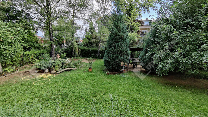 9. kép | Parkosított udvar | Eladó Társasházi lakás, Pomáz (#160813)
