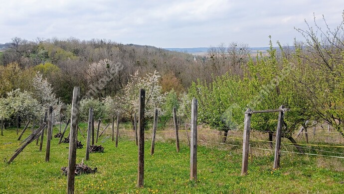 18. kép | Eladó Pince, Boncodfölde (#181048)