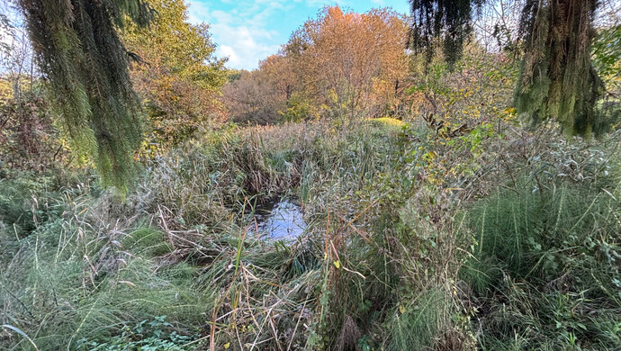 6. kép | Eladó Telek, Babosdöbréte (#177957)