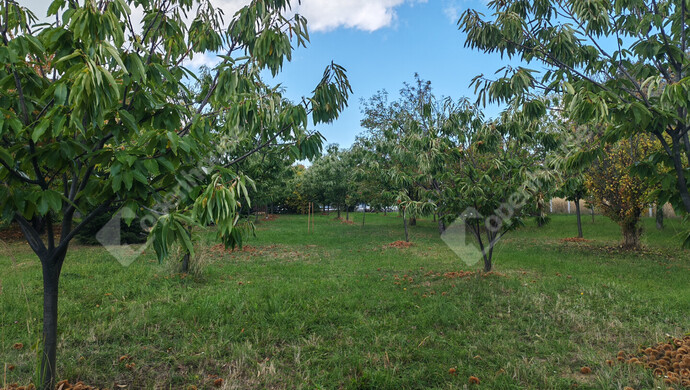 52. kép | Eladó Nyaraló, Nagykanizsa (#177970)