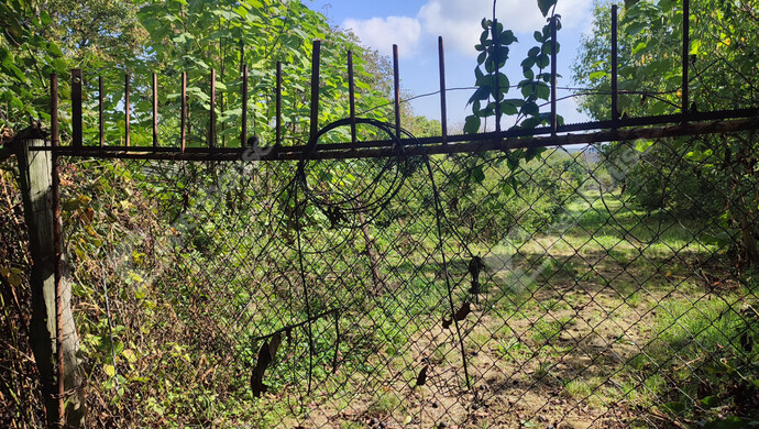 39. kép | Eladó Családi ház, Porrogszentkirály (#178270)