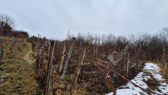 5. kép | Eladó Zárt kert, Miskolc (#179464)