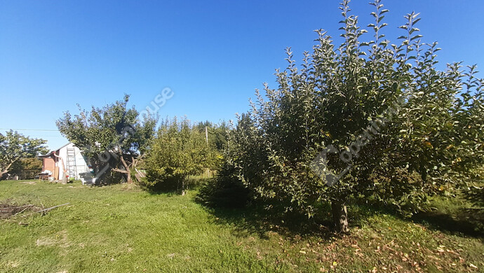 43. kép | Eladó Nyaraló, Nagykanizsa (#177111)