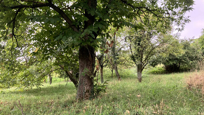 0. kép | Eladó Telek, Vöckönd (#177205)