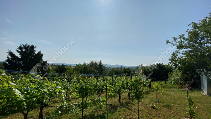 4. kép | Eladó Nyaraló, Nyúl (#175429)