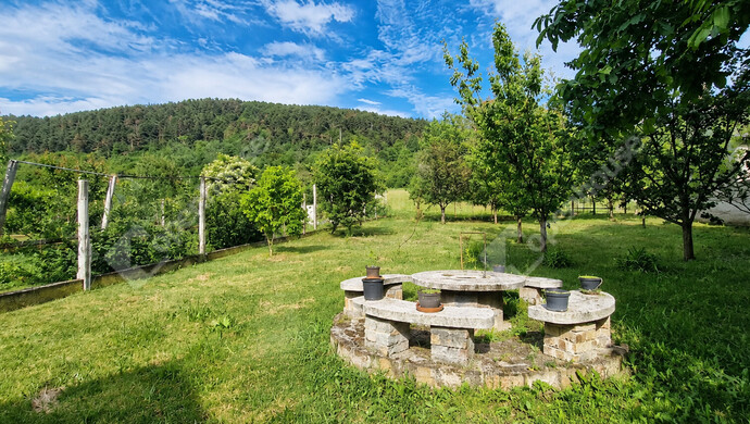 9. kép | Panorámás hátsó kert | Eladó Családi ház, Boldogkőváralja (#182171)