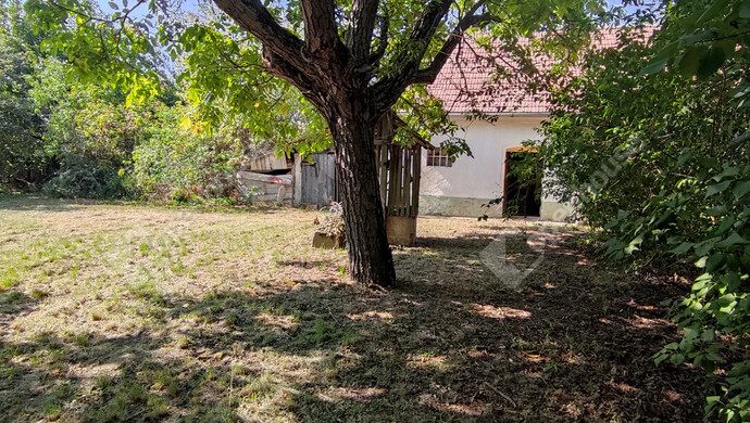 17. kép | Eladó Családi ház, Dabrony (#176519)