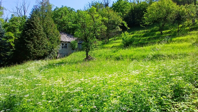 10. kép | Eladó Telek, Zalaegerszeg (#182105)