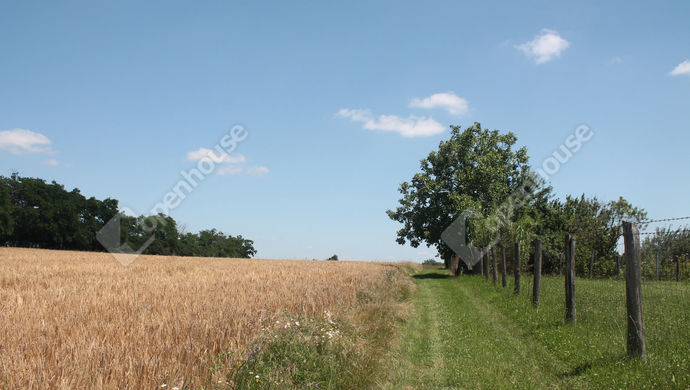 6. kép | Eladó Telek, Szombathely (#170082)