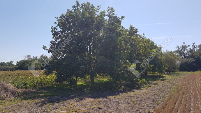 6. kép | Eladó Zárt kert, Levél (#178220)