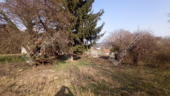 16. kép | Eladó Zárt kert, Zalaegerszeg (#180617)