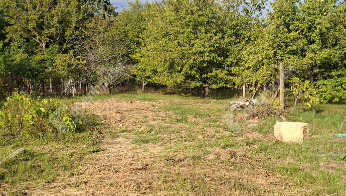 16. kép | Eladó Nyaraló, Nagykanizsa (#184128)