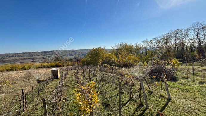 5. kép | Eladó Zárt kert, Pethőhenye (#178124)