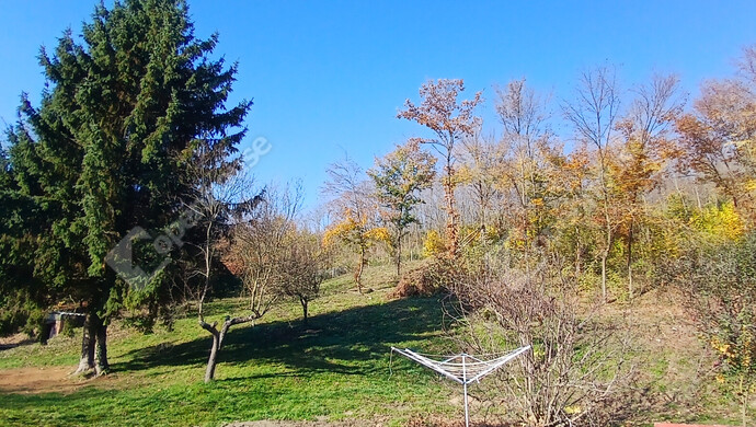 36. kép | Eladó Családi ház, Pölöske (#178279)