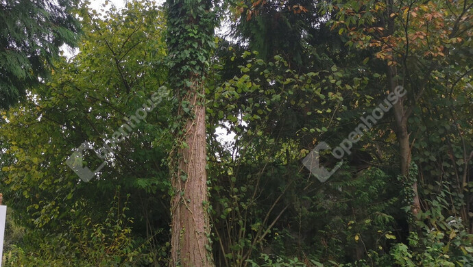 3. kép | Eladó Nyaraló, Őrtilos (#175761)