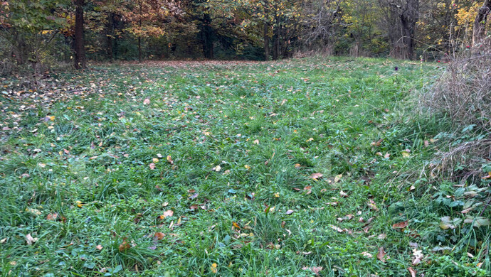 18. kép | Eladó Nyaraló, Egervár (#178107)