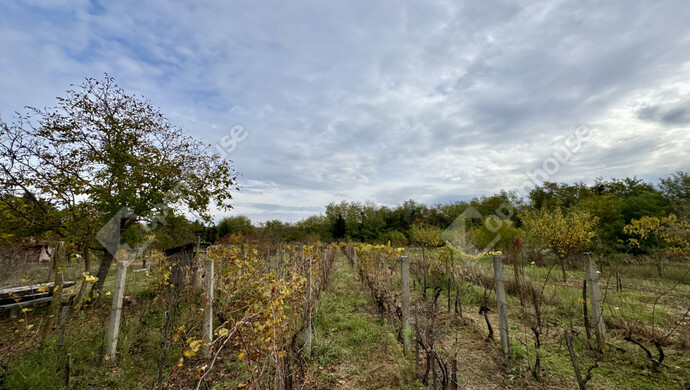 1. kép | Eladó Családi ház, Belezna (#178231)