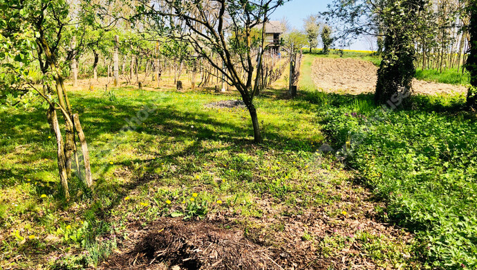 32. kép | Eladó Nyaraló, Murakeresztúr (#181161)