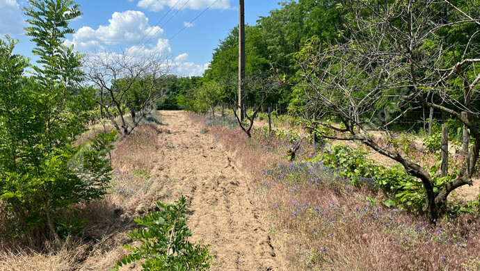 1. kép | Eladó Telek, Kecskemét (#178777)