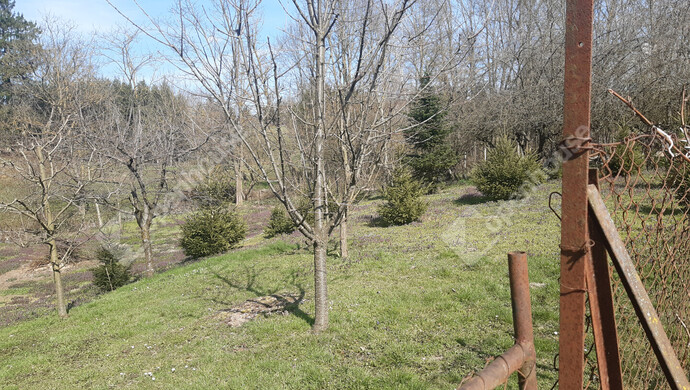 44. kép | Eladó Családi ház, Nagykanizsa (#180380)