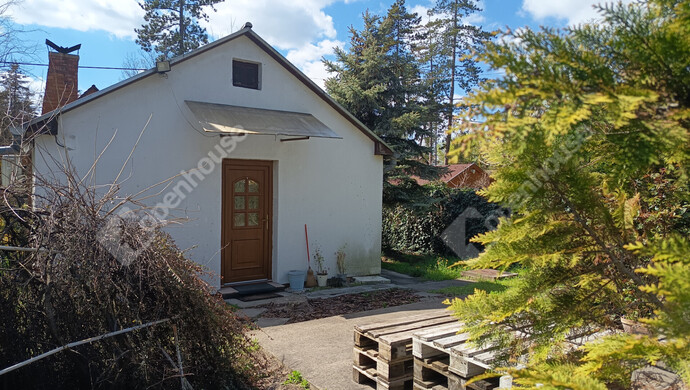 6. kép | Udvar felöli bejárat | Eladó Nyaraló, Szeged (#180993)