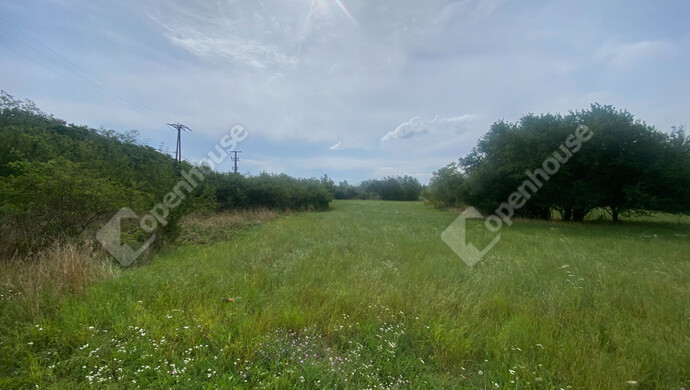 2. kép | Eladó Telek, Hegyeshalom (#176819)