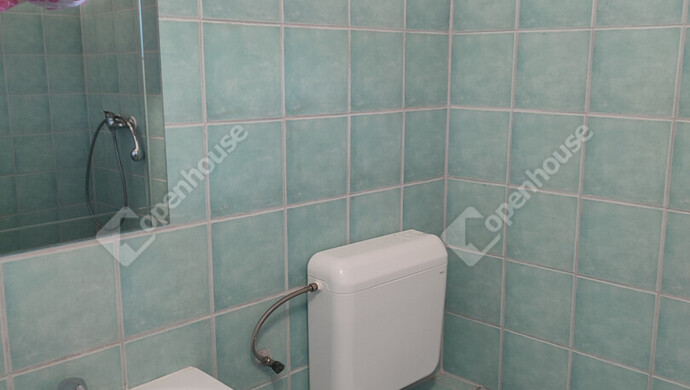 9. kép | Kiadó Családi ház, Tata (#177244)