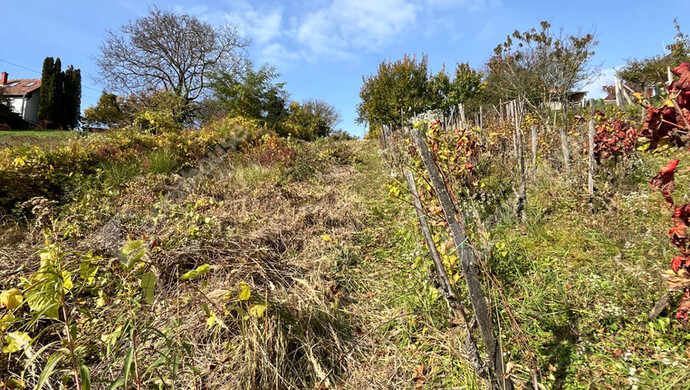 3. kép | Eladó Zárt kert, Pethőhenye (#178674)