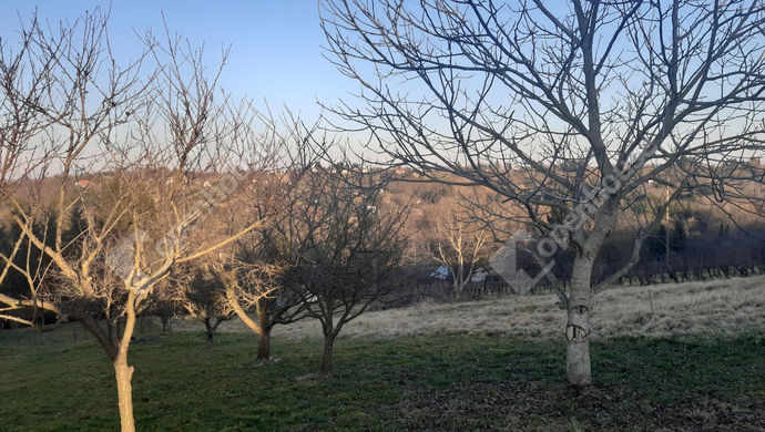 60. kép | Eladó Nyaraló, Nagykanizsa (#173846)