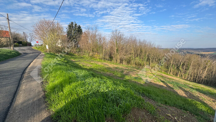 12. kép | Eladó Telek, Zalaegerszeg (#169790)