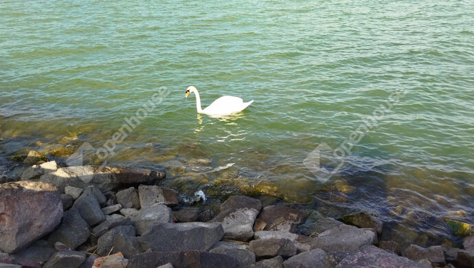 39. kép | Eladó Téglaépítésű lakás, Balatonboglár (#177692)