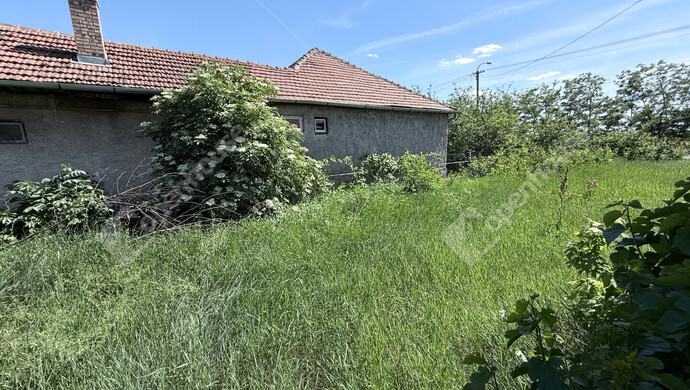 16. kép | Eladó Családi ház, Hejőkeresztúr (#181811)