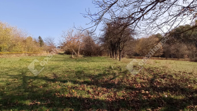 0. kép | Eladó Zárt kert, Zalaegerszeg (#69558)