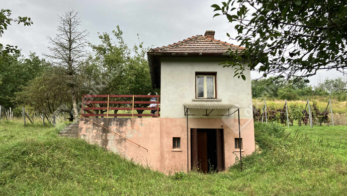 8. kép | Eladó Zárt kert,  (#177177)