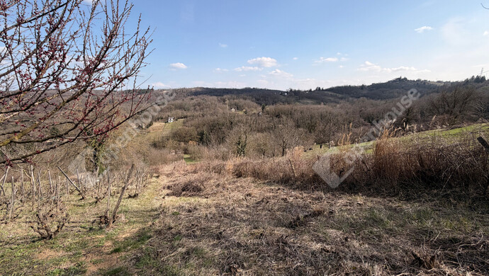 11. kép | Eladó Zárt kert, Pethőhenye (#178674)