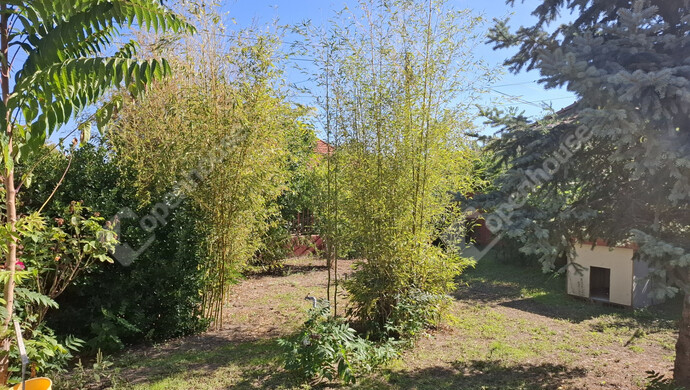 10. kép | Eladó Családi ház, Albertirsa (#177328)