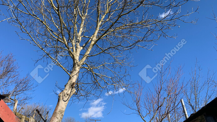 44. kép | Eladó Nyaraló, Homokkomárom (#179898)