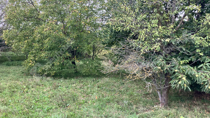 5. kép | Eladó Telek, Vöckönd (#177205)