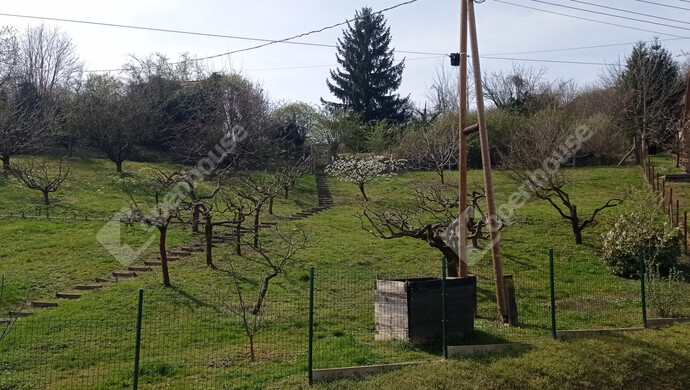 2. kép | Eladó Telek, Zalaegerszeg (#180716)