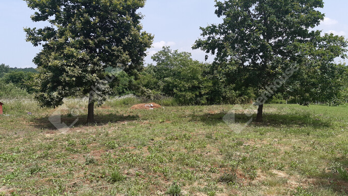 8. kép | Eladó Nyaraló, Rigyác (#178453)